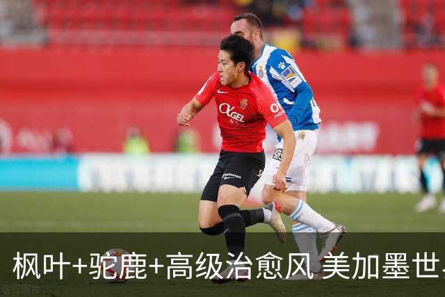 枫叶+驼鹿+高级治愈风 美加墨世界杯加拿大赛区开幕